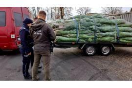 <b>Policjanci z powiatu chojnickiego włączyli się w akcję `Choinka`</b>